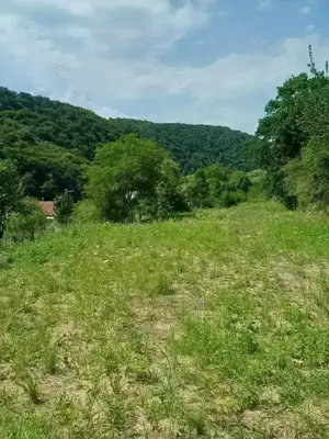 Teren intravilan 15318 m.p. in Piatra neamt str Humariei. - imagine 7