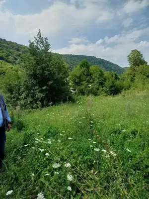 Teren intravilan 15318 m.p. in Piatra neamt str Humariei. - imagine 4