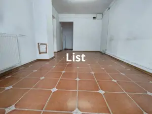 Spatiu comercial Stefan cel Mare, 56mp, 0% comision - imagine 3