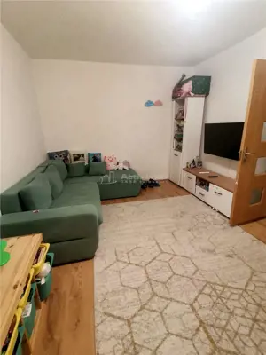 Teiul Doamnei, apartament 2 camere decom parter bloc 1982 - imagine 2