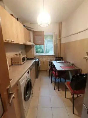 Teiul Doamnei, apartament 2 camere decom parter bloc 1982 - imagine 4