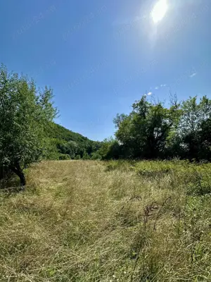 Teren de vânzare  - imagine 3