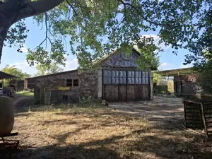 Ferma cu teren agricol de vanzare in Nadlac - imagine 17