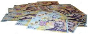 Puncte si titluri de plata anrp.