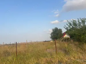 Teren intravilan de vânzare   5.000 m2 , Mineri - posibilitate parcelare lot - imagine 4