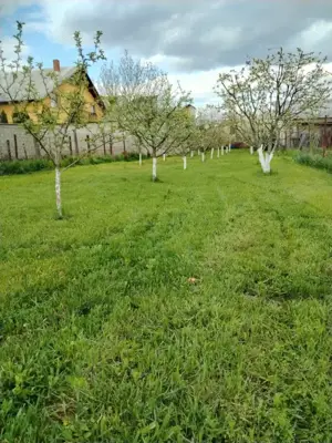 De vânzare – Teren intravilan 913 mp  Țânțăreni