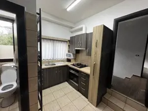 Vila S+P+1+Pod mansardat Albert Roua - imagine 18