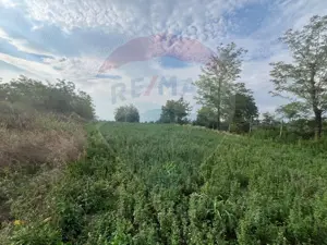 Teren intravilan Gologanu / Strada Margaretelor - imagine 8