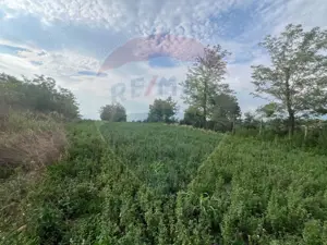 Teren intravilan Gologanu / Strada Margaretelor - imagine 3