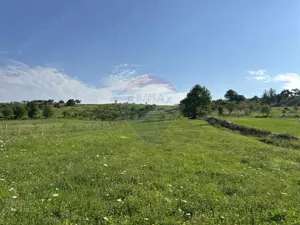 Teren 8,300mp Negresti (Dobreni) / Drumul DEALUL OTEL - imagine 2