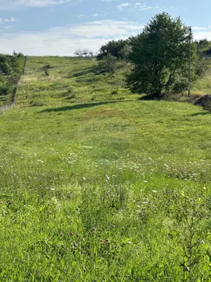 Teren 8,300mp Negresti (Dobreni) / Drumul DEALUL OTEL - imagine 5