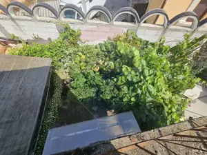 Casa de vanzare P+1E - imagine 3