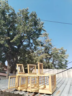 Cusca pentru 3 perechi porumbei  - imagine 5