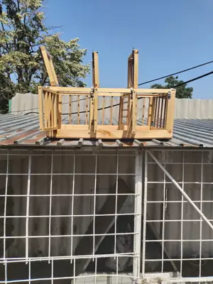 Cusca pentru 3 perechi porumbei 