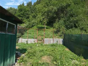 Anina, Casa, 4 Camere,  P+M, 160MP Teren, Pret Negociabil - imagine 8