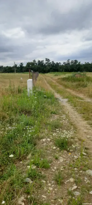 Vand Teren intravilan, Valea Avrigului - imagine 3