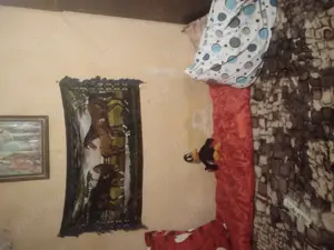 Primesc în chirie  - imagine 4 Primesc în chirie  - imagine 4