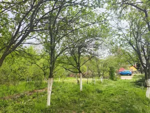 Vând teren intravilan în Cărbunești-Prahova. Ideal CASĂ VACANȚĂ - imagine 4