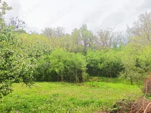 Vând teren intravilan în Cărbunești-Prahova. Ideal CASĂ VACANȚĂ - imagine 3