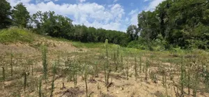 Teren intravilan de vânzare  - imagine 7