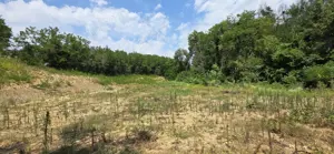 Teren intravilan de vânzare  - imagine 6