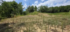 Teren intravilan de vânzare  - imagine 8