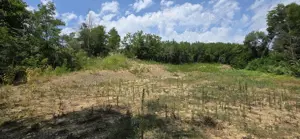 Teren intravilan de vânzare  - imagine 5