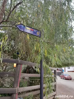 Vind teren - imagine 7