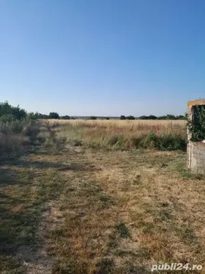 Vind teren - imagine 3