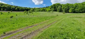 Vând teren - imagine 7