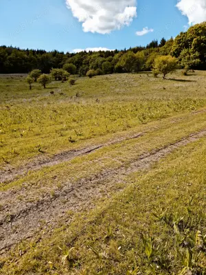 Vând teren - imagine 8