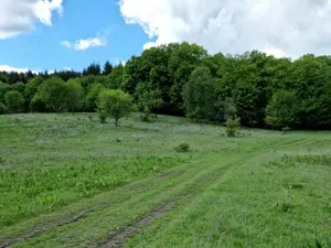 Vând teren - imagine 3