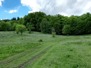 Vând teren - imagine 5