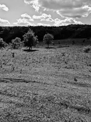 Vând teren - imagine 9