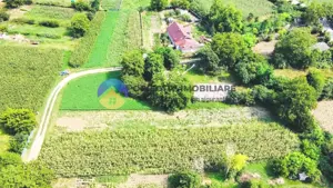 TEREN intravilan GIROV  4133 mp  - imagine 8