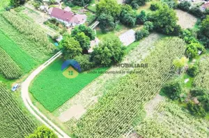 TEREN intravilan GIROV  4133 mp  - imagine 3