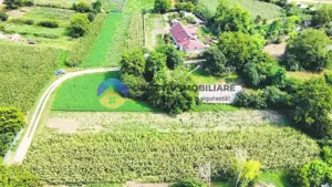 TEREN intravilan GIROV  4133 mp  - imagine 2