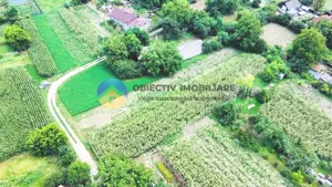 TEREN intravilan GIROV  4133 mp  - imagine 7