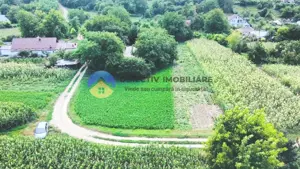 TEREN intravilan GIROV  4133 mp  - imagine 9