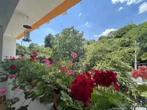 VAND O VILA IN PADUREA DIN FILIPESTI - imagine 13