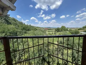 VAND O VILA IN PADUREA DIN FILIPESTI - imagine 19