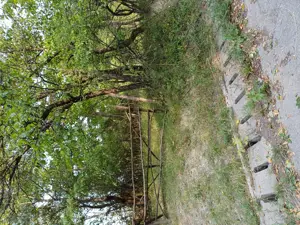 Teren intravilan de vanzare 