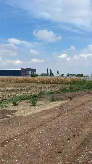 Vanzare Teren  8000mp Magurele Varteju