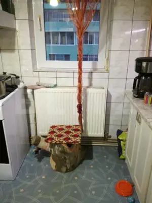 Apartament 4 camere, 87 mp, in apropiere de LIDL si str.Transilvania - imagine 20