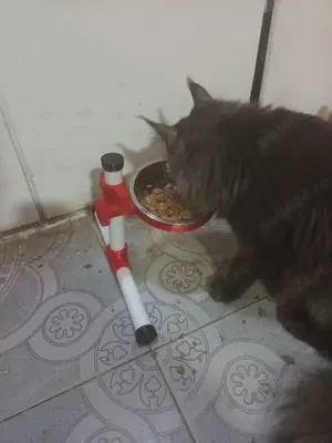 suport cu 1 bol reglabil inaltime si inclinare=100lei, cu 2bol=125lei, cu 3 bol = 150lei