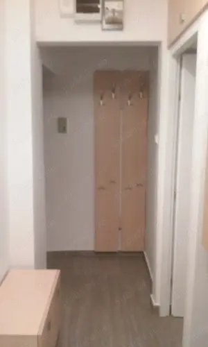 PF inchiriez apartament cu 2 cam, zona Dacia, str. Brandusei, et. 3 - imagine 6