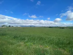 Teren extravilan, 7000mp,  Cristian