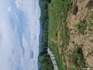 Teren de vânzare Brăduleț Corbi Argeș 