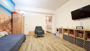 Garsonieră cochetă în Theodor Pallady – Spațiu mic, confort mare!