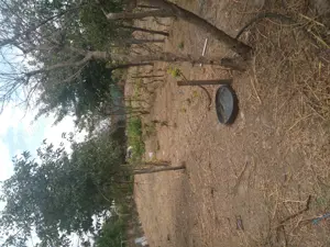 Casa de vanzare  jud braila ,com chiscani  - imagine 5